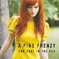 One Cell In The Sea | CD (2008, Re-Release) von A Fine Frenzy
