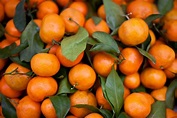 23 Interesting And Fascinating Facts About Tangerines - Tons Of Facts