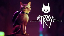Stray, o "jogo do gato", tem gameplay revelado em trailer