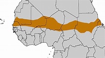 Where is the Sahel Region of Africa? - WorldAtlas