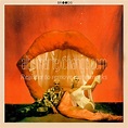 Album Art Exchange - Don't Feed the Pop Monster by Broods - Album Cover Art
