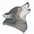 Howling Wolf Vector Design Images, Vector Illustration Of A Howling ...
