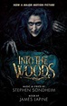 Into the Woods by Professor James Lapine (English) Paperback Book Free ...