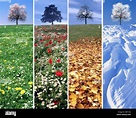 DIGITALE Kunst: Die vier Jahreszeiten Stockfotografie - Alamy