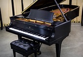 A Rare Opportunity | 4 Steinway Model D Grand Pianos for Sale