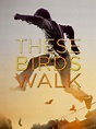 Watch These Birds Walk (English Subtitled) | Prime Video