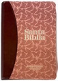 Biblia Reina VAlera 1960 Tamaño manual letra gigante 14 puntos i/piel ...