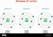Isótopos de carbono. Estructura atómica del carbono-12 al carbono-14 ...