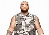 Bubba Ray Dudley / Bully Ray: Profile, Career Stats, Face/Heel Turns ...