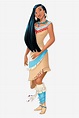 Pocahontas Disney Princess, HD Png Download Transparent Png Image ...
