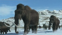 A Mammoth Undertaking | Prehistoric Park Wiki | FANDOM powered by Wikia
