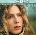 Sophie B Hawkins Walking On Thin Ice US Promo CD single (CD5 / 5") (300278)