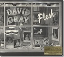 David Gray Flesh Records, LPs, Vinyl and CDs - MusicStack