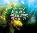 Tyler Ramsey - A Long Dream About Swimming Across the Sea Lyrics and ...
