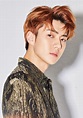 SEHUN 'LOVE SHOT ' - EXO Photo (41758208) - Fanpop