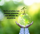 30 frases para reflexionar sobre el medio ambiente - fraseslistas.com