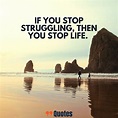 99 Quotes about Life and Struggle You Should Learn