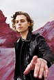 Luke Hemmings: Australian Singer, Songwriter and Musician | Biography