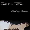 Deniz Tek – Mean Old Twister (2016, CD) - Discogs
