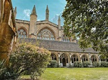 New College Harry Potter Guide - Visit The Draco Malfoy Tree In Oxford!