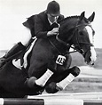 Caroline Bradley An Equestrian Legend - Haynet