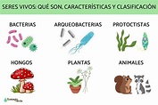 Seres vivos: qué son, características y clasificación - Resumen