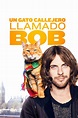 Un gato callejero llamado Bob 2016 - Pelicula - Cuevana 3