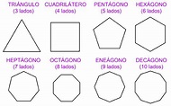 ¿Qué es un polígono? Definición, características y ejemplos - Como ...