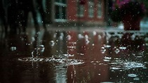 500+ Amazing Rain Photos · Pexels · Free Stock Photos