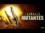 Caimanes mutantes (2013) Pelicula completa en español - YouTube
