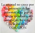 Frases de amistad - BonitasImagenes.net