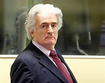 Radovan Karadzic: Former Bosnian Serb leader to be moved to UK prison ...