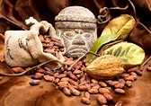 El Chocolate: México es cuna genética y cultural del primer cacao ...