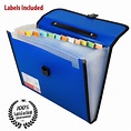 TRANBO Plastic File Folder with 13 Pockets, Handle, Index Tab, A4 Size ...