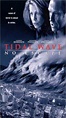 Watch Tidal Wave: No Escape on Netflix Today! | NetflixMovies.com