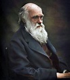 Charles Darwin (1874) | Charles darwin, Colorized history, Darwin