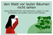 den Wald vor lauter Bäumen nicht sehen | Redewendungen mit Bildern