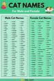 Cat Names: 70+ Most Popular Male and Female Cat Names • 7ESL | Cat ...