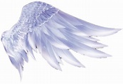 Wing Icon - Angel wings png download - 736*503 - Free Transparent Wing ...