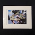 Limited Edition Signed Art Prints from Carol Collette Gallery