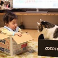 日本小男孩和貓咪的成長日記 融化全世界貓奴的心！ | 寵毛網 | NOWnews今日新聞