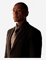 Gustavo Fring - Breaking Bad Gus Png - 678x998 PNG Download - PNGkit