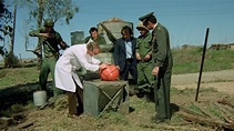 Attack of the Killer Tomatoes! (1978) — The Movie Database (TMDB)