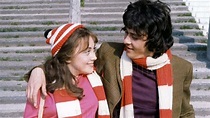 [HD] The Lovers! (1973) Película Completa Online Español Gratis