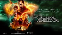 Los Secretos De Dumbledore: El Guión Original De La Película ...