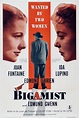The Bigamist (Film) - TV Tropes