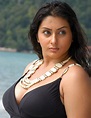 Namitha Hot Photos, Images, Wiki, HD Wallpapers