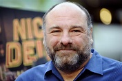 James Gandolfini dies; brought swagger, genius to 'The Sopranos' - Los ...