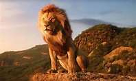 Rei Leão: Veja 5 motivos para assistir ao filme