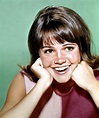 40 Vintage Photos of a Young and Beautiful Sally Field From Between the ...